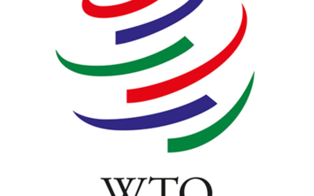 WTO Welcomes Comoros As 165th Member