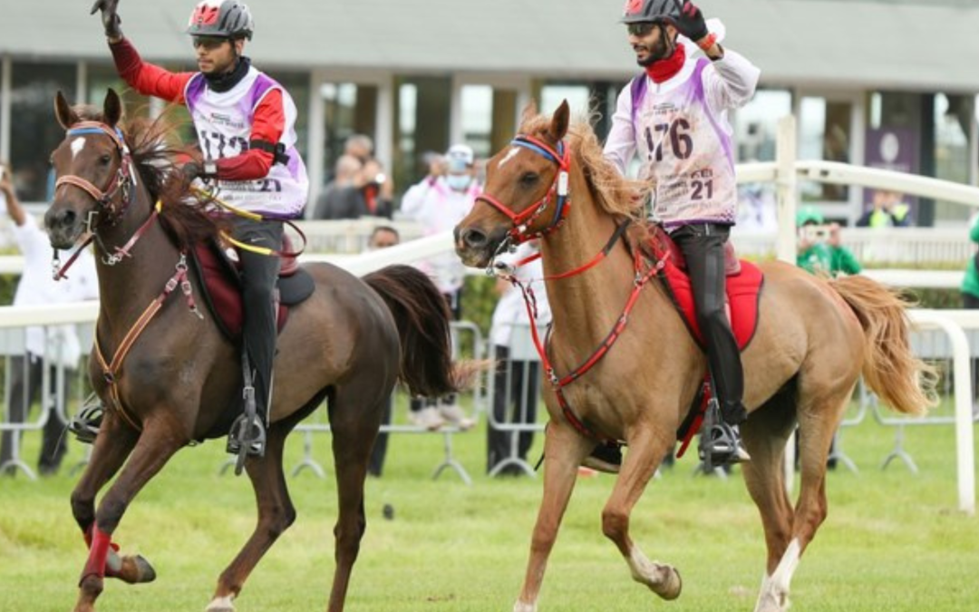 Emirati Knights Claim Silver In Endurance World Championship