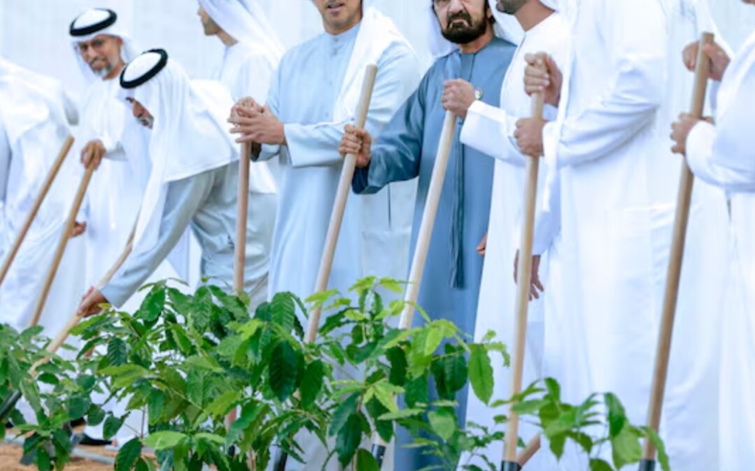 UAE Vice President Launches ‘Plant the Emirates’ Program At Cabinet Meeting In Al Marmoom