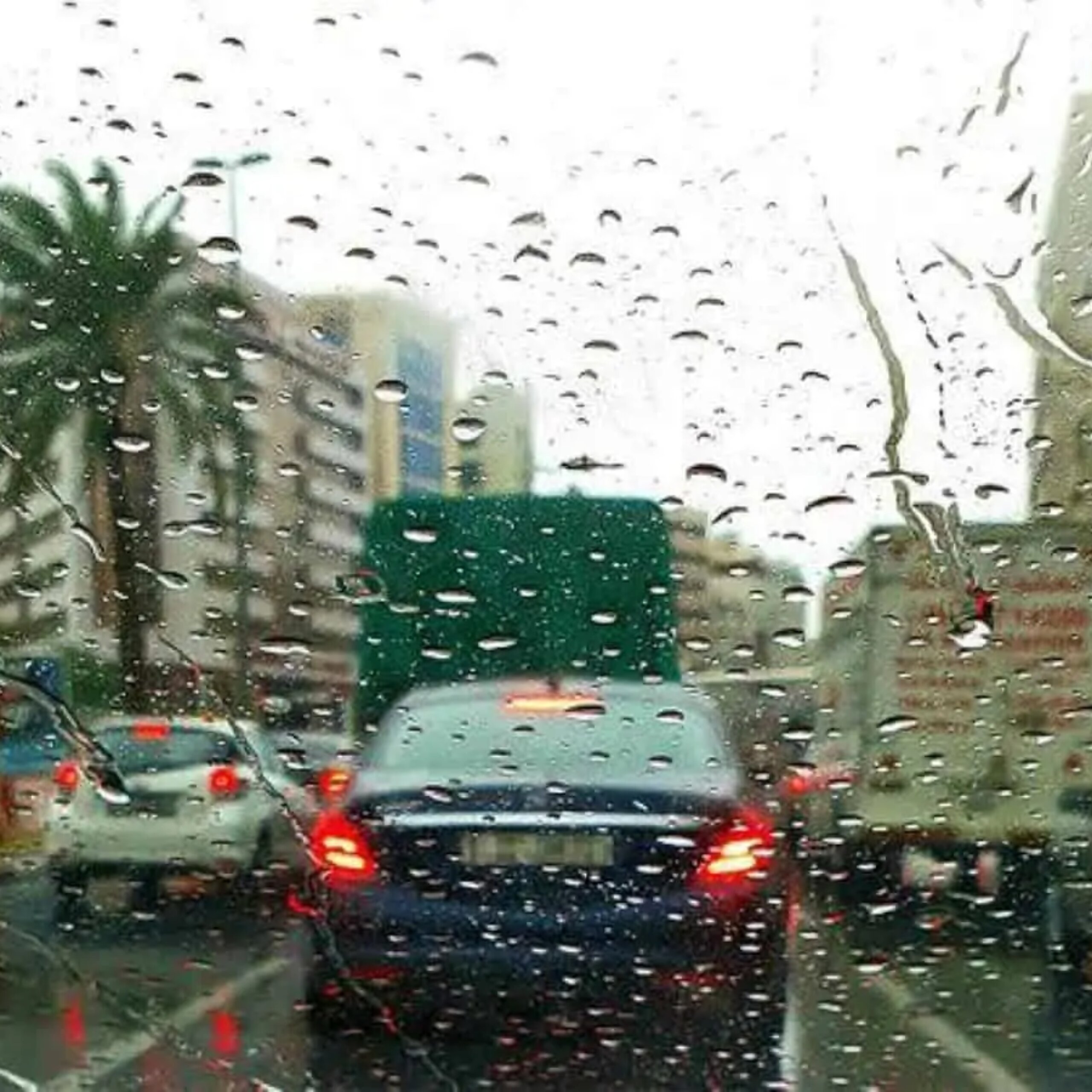 uae-rain