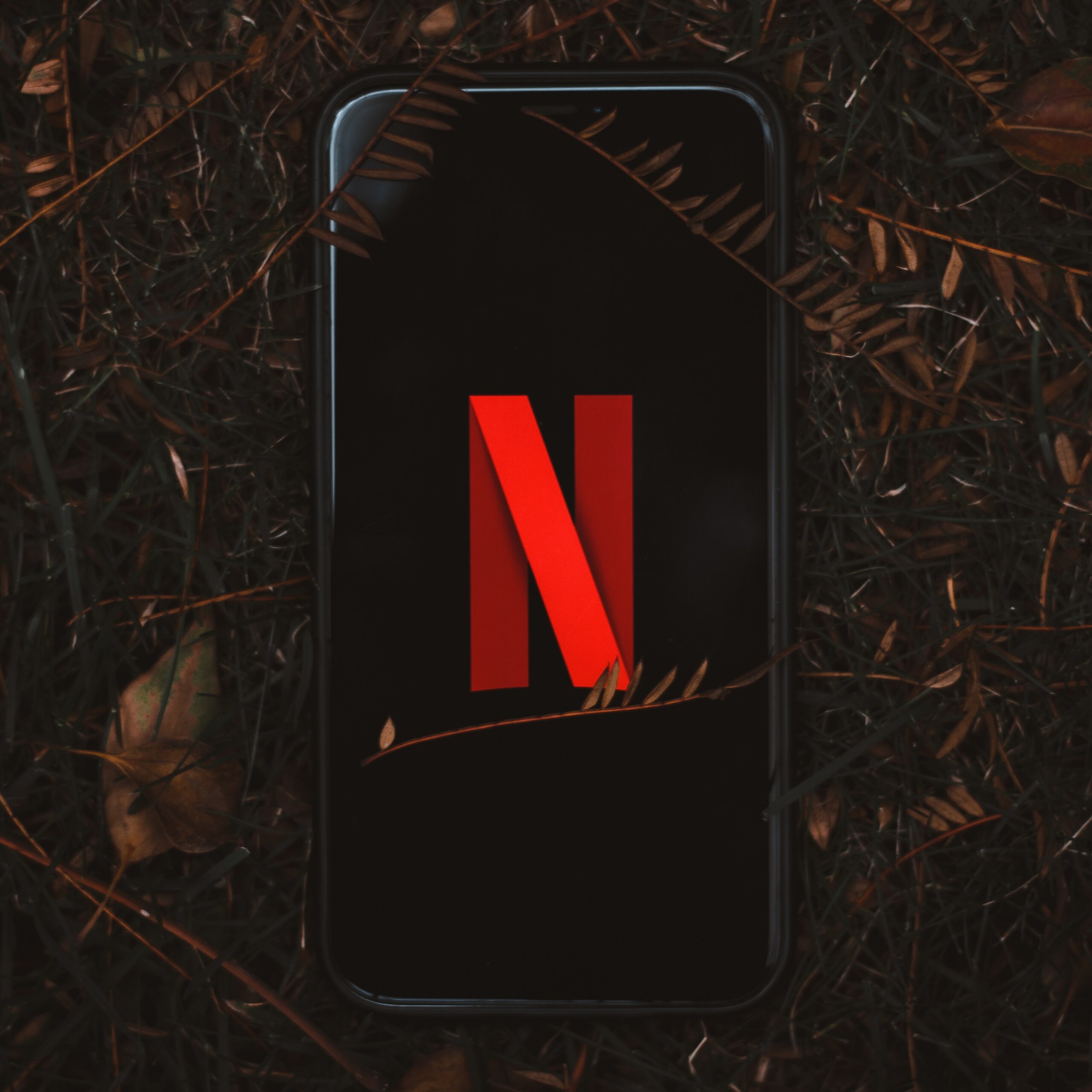 neflix-earnings-report