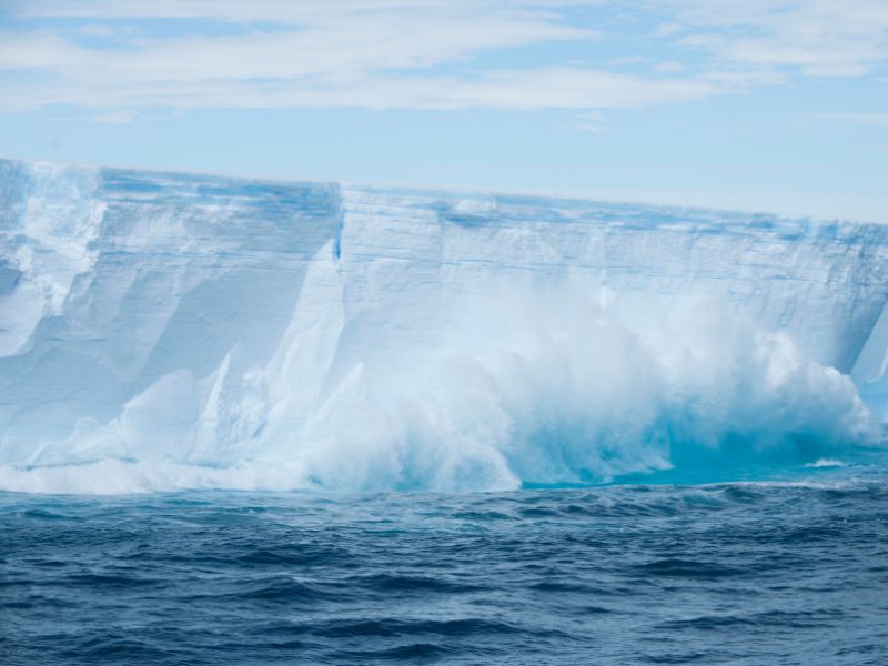 Climate Tracker: What Are The Consequences Of Antarctic Ice Loss For The UAE?