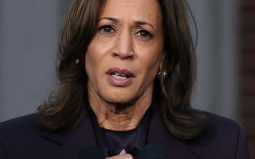 US Elections 2024: Kamala Harris “Concedes This Election, But Not The Fight”